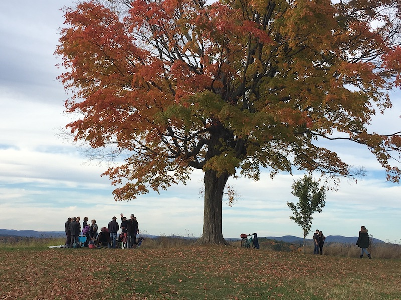 People enjoying a picnic under a big tree