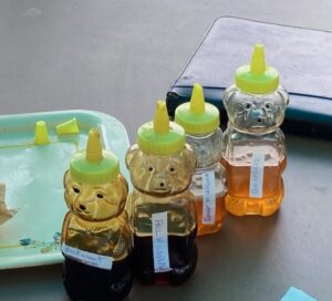 Four bear bottles Local honey from dark to light golden