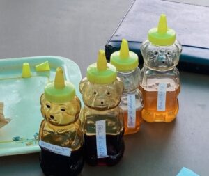 honey bears filled with different local honeys