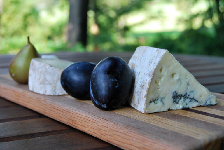 cheese and fruit board in forest setting