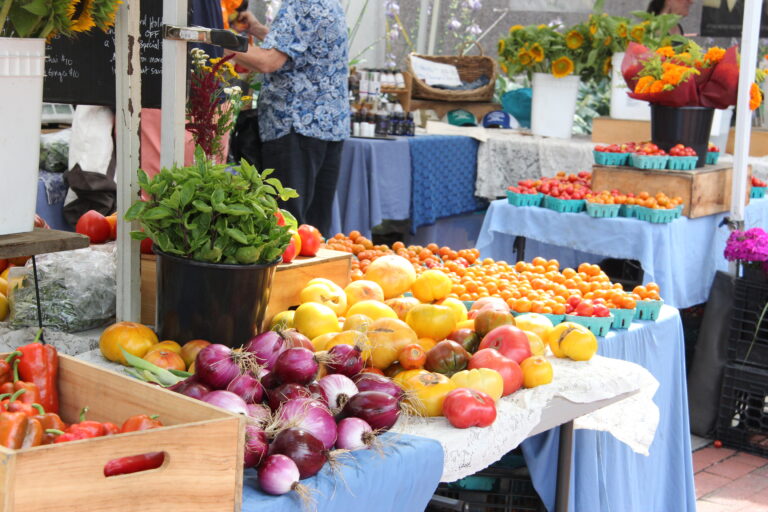 colorful summer farm market produce farm to table